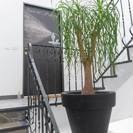 Casa Del Profumo בית הארחה